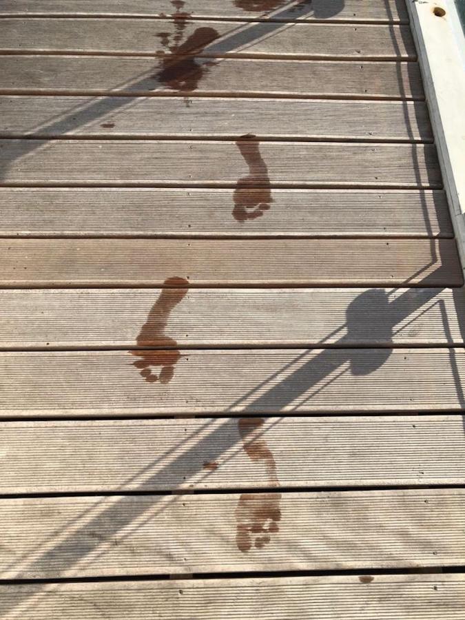 Hausboot Elandi Villa Bitterfeld-Wolfen Buitenkant foto
